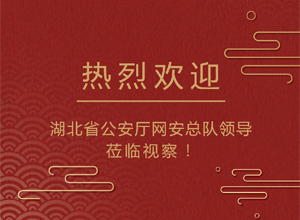 湖北省公安厅网安总队领导莅临我司视察